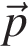  \vecp